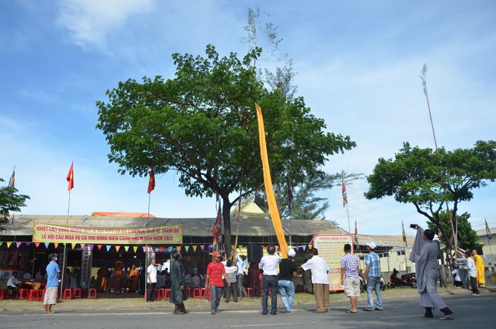 Đặc sắc lễ hội cầu mùa vụ cá Thu Đông tại cửa vịnh Đà Nẵng