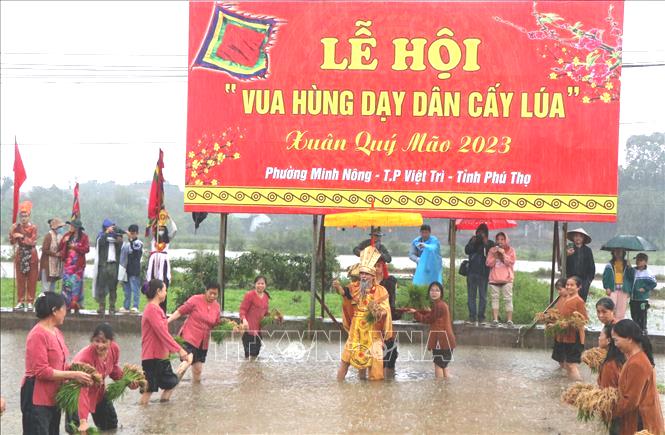 doc-dao-le-hoi-vua-hung-day-dan-cay-lua-o-phu-tho