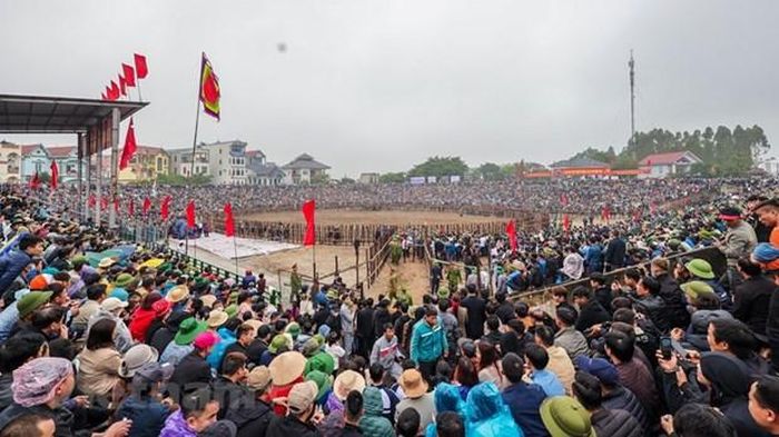 vinh-phuc-le-hoi-choi-trau-hai-luu-thu-hut-dong-dao-nguoi-dan