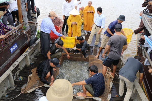 tha-ca-phong-sinh-tai-tao-nguon-loi-thuy-san-tai-ben-tre