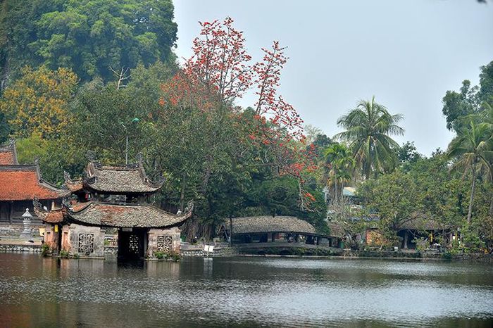 tu-bo-chinh-trang-khu-di-tich-quoc-gia-dac-biet-chua-thay